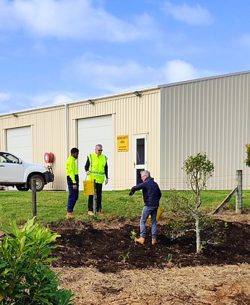 WMC-Team-Replanting-Garden-4.jpg