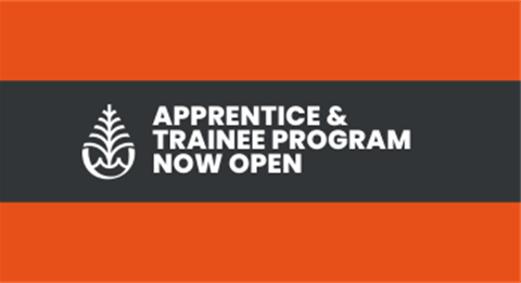 Trainee-program-open.png