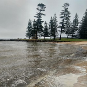 Discoloured water at Emily Bay